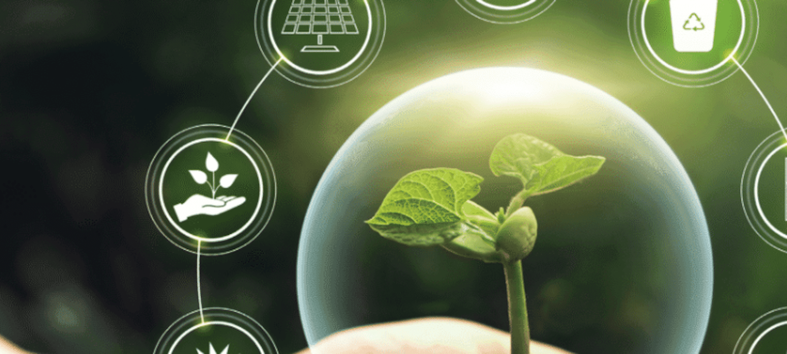 Image du projet CAP3R